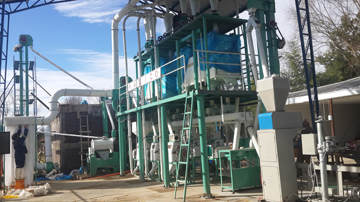 30TPD flour mill plant installation in Chile